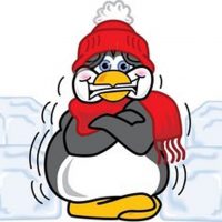 shivering penguin
